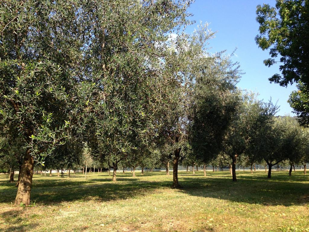 Agriturismo Corte Moranda เวโรนา ภายนอก รูปภาพ
