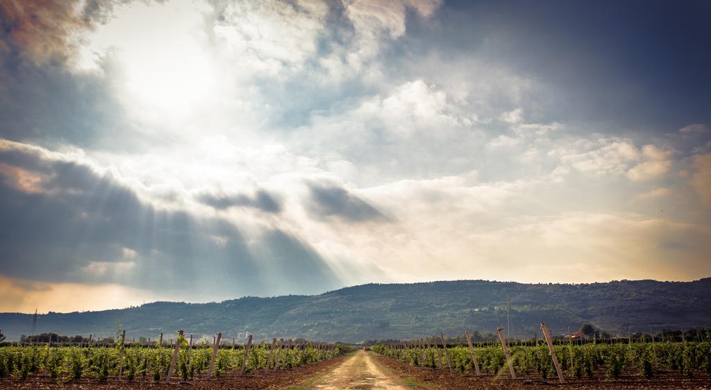 Agriturismo Corte Moranda เวโรนา ภายนอก รูปภาพ